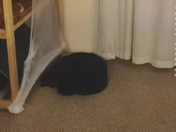 Chaturbate Best live sex cam show of hotlaracroft