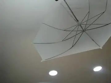 Chaturbate Adult Webcams of veronica_cutte