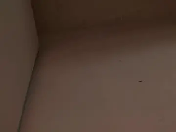 Chaturbate Free Porn Cam of enzo_steel