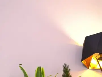 Chaturbate Live Sex of islandladies