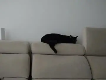 Chaturbate Live Sex Cam of andy_weld