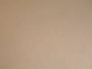 Chaturbate Sex Chat of forestproject