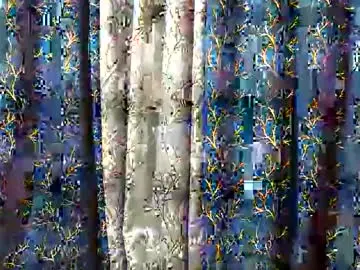 Chaturbate Adult Webcams of love_riva