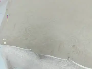 Chaturbate Live Porn of gisela_moreno