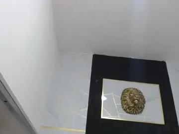 Chaturbate Nude Webcam of jordanandandrew