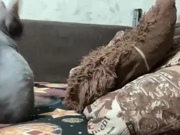 Chaturbate Live Sex Cam of call_me_dad_