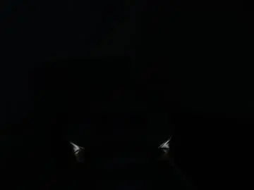 Chaturbate Adult Webcams of emiily_smith1_