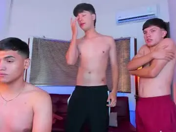 Chaturbate Nude Webcam of party_guyssex