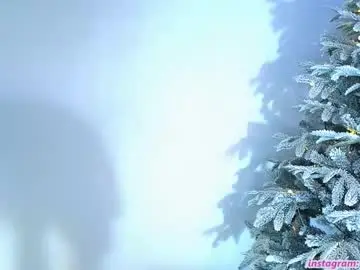 Chaturbate Sex Chat of litlle_flowers