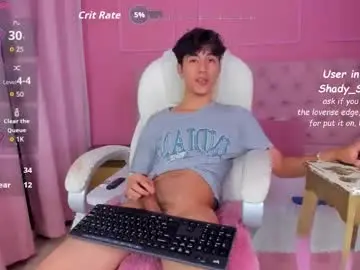 Chaturbate Live Porn of shady_stone