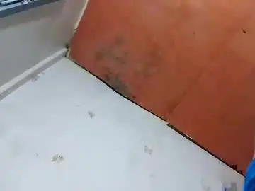 Chaturbate Sex Cam of vivamaxgirls