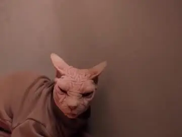 Chaturbate Sex Cam of esthetics_boys