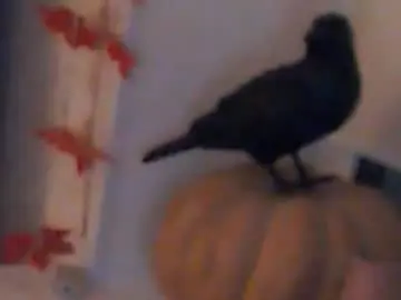 Chaturbate Free Porn Cam of heaven_chloe