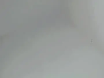 Chaturbate Live Sex of nattayah