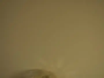 Chaturbate Free Live Porn of nice_to_mi_u