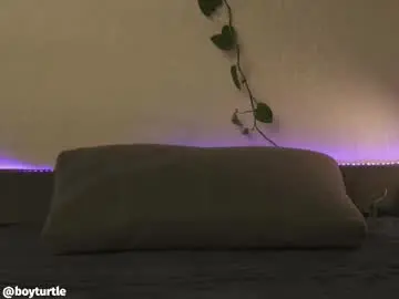 Chaturbate Live Sex of boyturtle