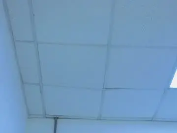 Chaturbate Watch Live Sex Cams of charlie_walkerr