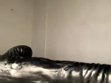 Chaturbate Adult Webcam of lil_ith
