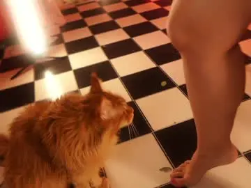 Chaturbate Best Webcam of _meganmeow_