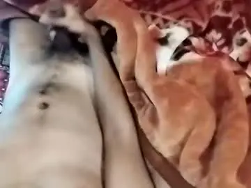 Chaturbate Live Porn of nooby942461