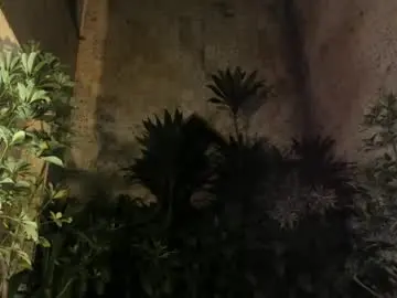 Chaturbate Free Live Porn of maxim_walker