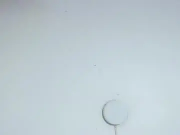 Chaturbate Best Webcam of aisha_laurent