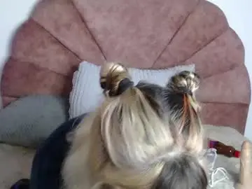 Chaturbate Best Webcam of lickpink1_