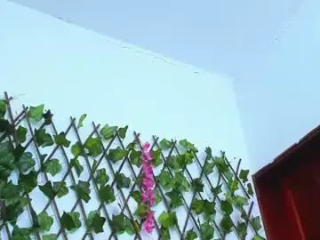 Chaturbate Adult Video Chat of vwildcatper