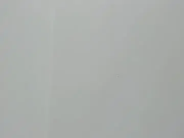 Chaturbate Best live sex cam show of pablo_thegoat