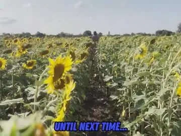 Chaturbate Watch Live Sex Cams of sunflower0907