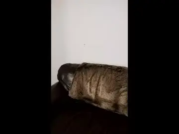 Chaturbate Sex Chat of owen162462