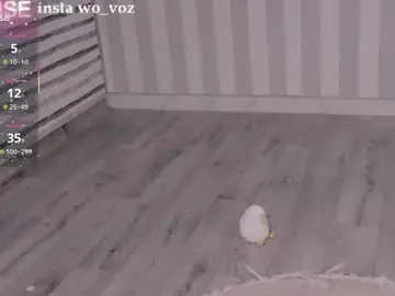 Chaturbate Watch Live Sex Cams of careful_i_bite