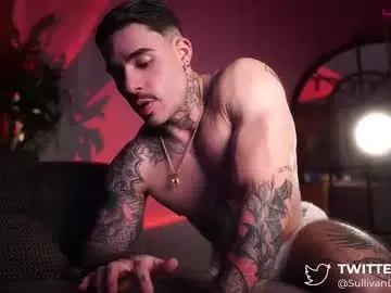 Chaturbate Nude Webcam of dominic_sullivan1