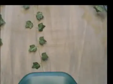 Chaturbate Live Sex Cam of dripqueenx