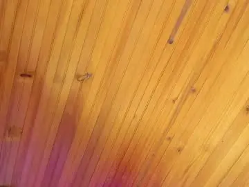 Chaturbate Live Porn of irisbeel