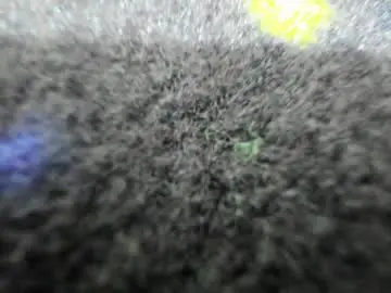 Chaturbate Free Live Porn of aisharouhi