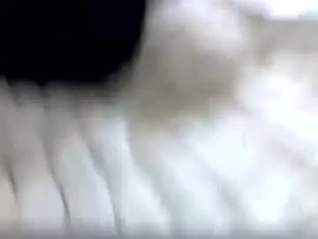 Chaturbate Adult Webcams of pcaring86