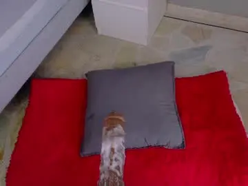 Chaturbate Best Webcam of anavicc__