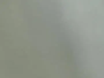 Chaturbate Free Porn Cam of creamywetpusy