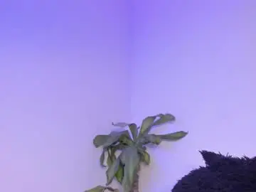 Chaturbate Live Porn of lucyshen_