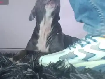 Chaturbate Private Sex Chat of tommy_c0rtez