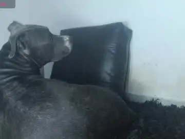 Chaturbate Best live sex cam show of tommy_c0rtez