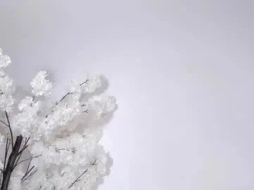 Chaturbate Adult Webcams of sweetsalice__