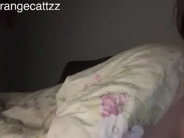 Chaturbate Live Porn of orangecattz
