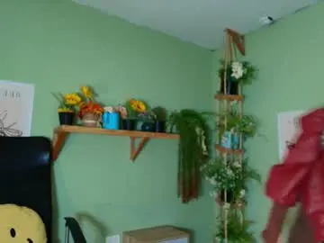 Chaturbate Live Sex of littlelua
