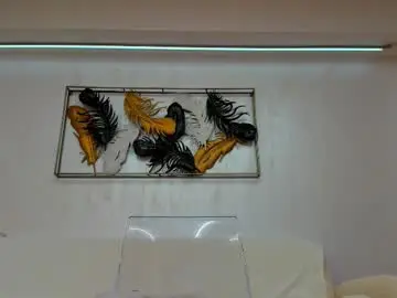 Chaturbate Best Webcam of vikafever