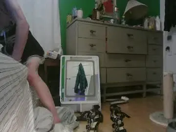 Chaturbate Adult Webcam of anilyseardor