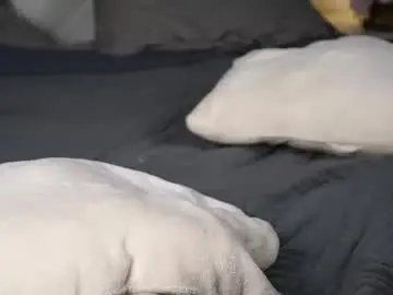 Chaturbate Best live sex cam show of kaeliascorch