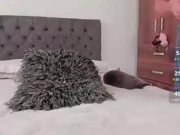 Chaturbate Adult Video Chat of jordanmusk_