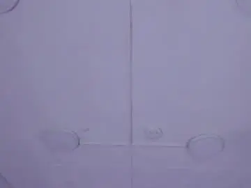 Chaturbate Best Webcam of bella_lane_